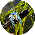 user_profile