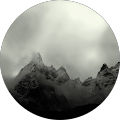 user_profile