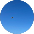 user_profile