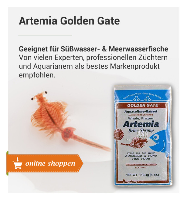Golden Prime Artemia 10 X 500g