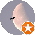 user_profile