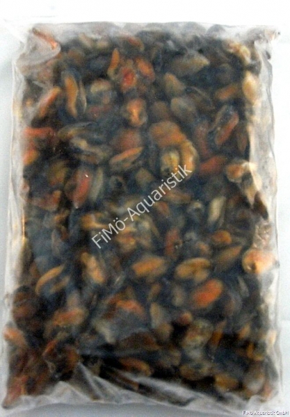 Muschelfleisch ( lose eingefroren) 500 g
