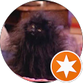 user_profile