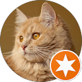 user_profile