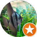 user_profile