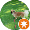 user_profile