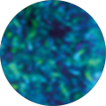 user_profile